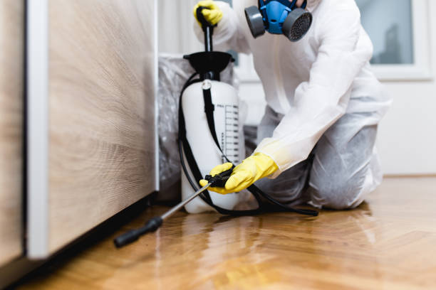 Trusted Moody, TX Pest Control Experts