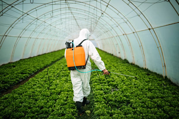 Pest Prevention Services in Moody, TX