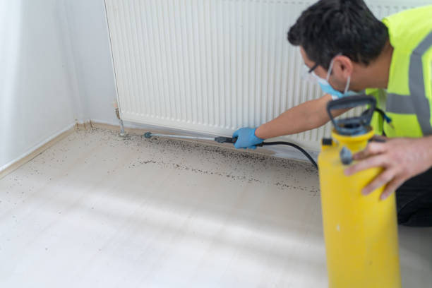 Best Flea Control Services  in Moody, TX
