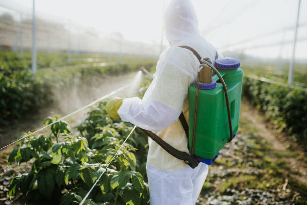 Best Pest Control Near Me  in Moody, TX